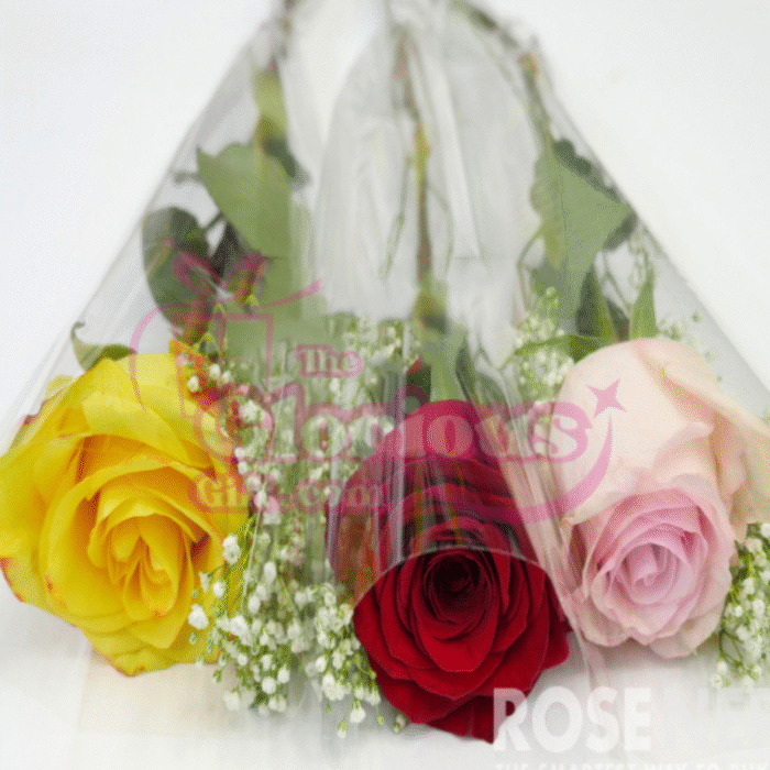 Yellow, Pink, Red Imported Roses - Image 1