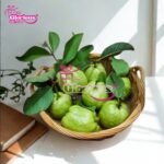 4-5kg Gava Fruit Basket